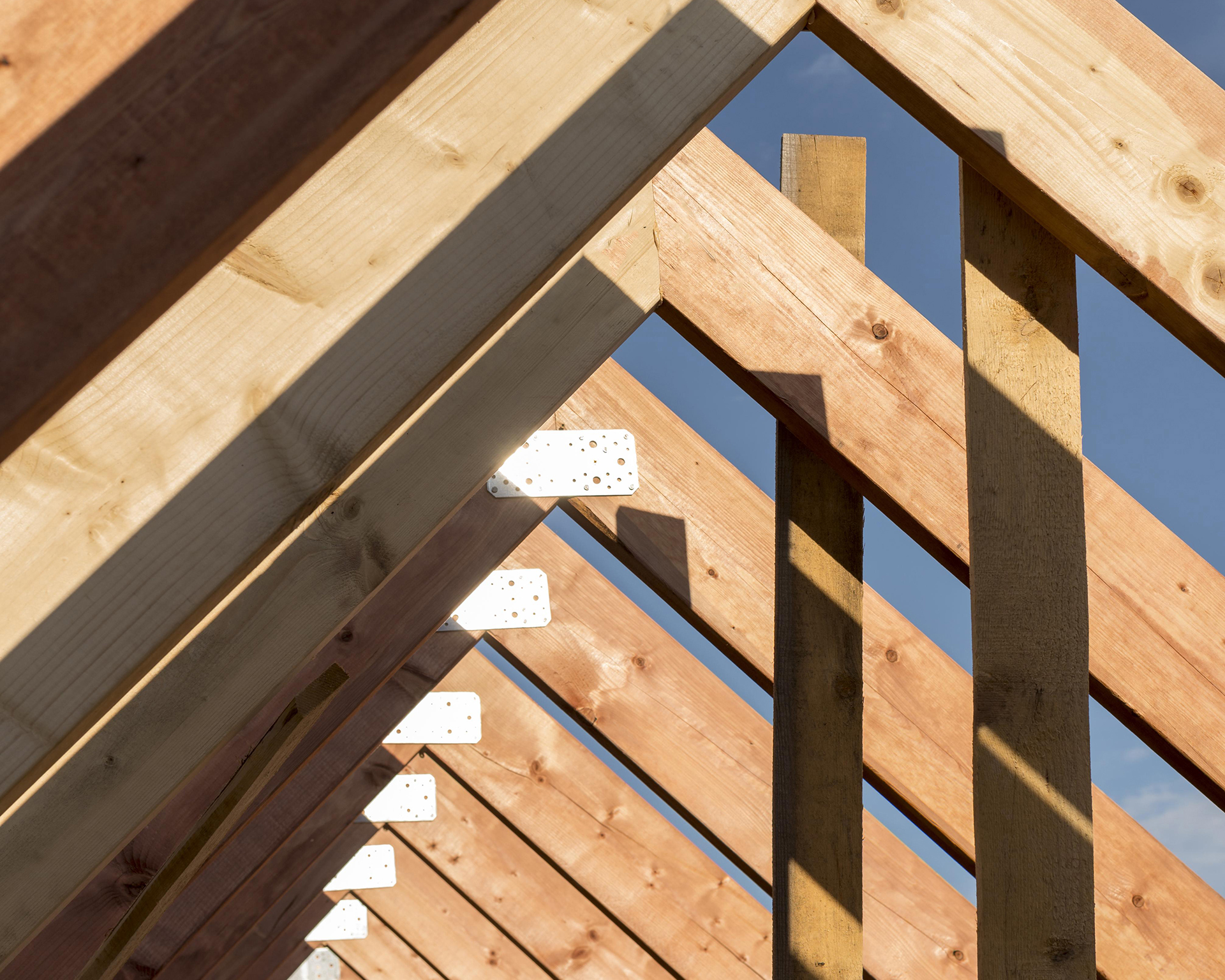 XLAM: La Rivoluzione Sostenibile che sta ridisegnando l’Italia